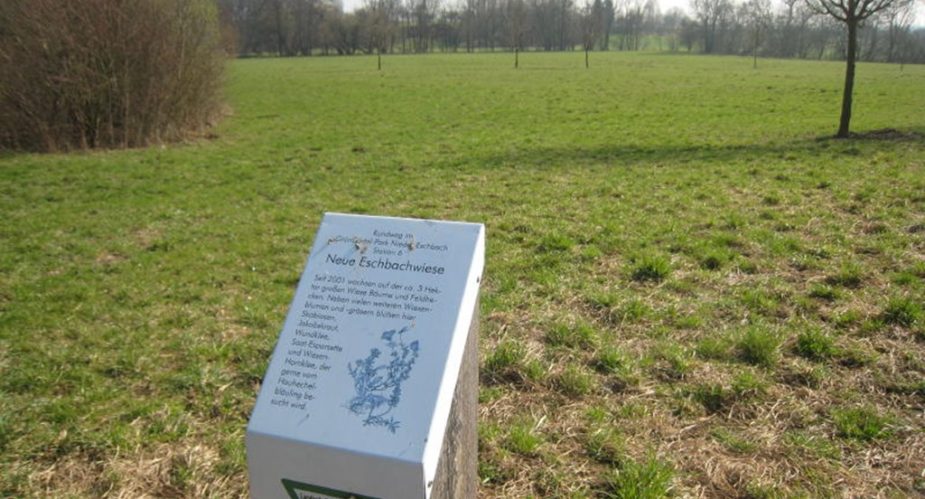 Eschbach und Erlenbachtal