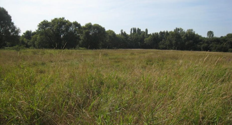 Eschbach und Erlenbachtal