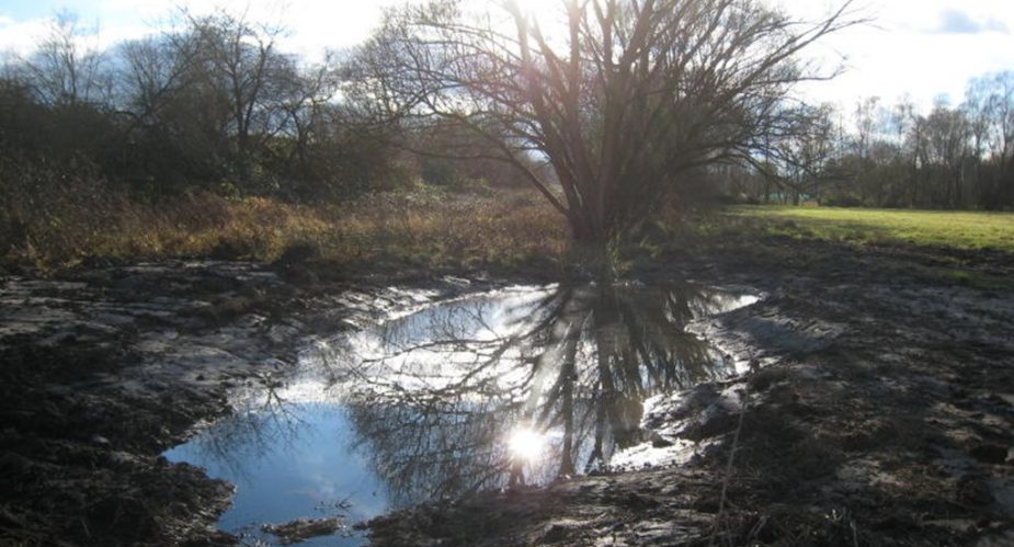 Eschbach und Erlenbachtal