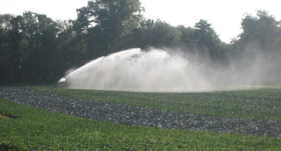 Eschbach und Erlenbachtal