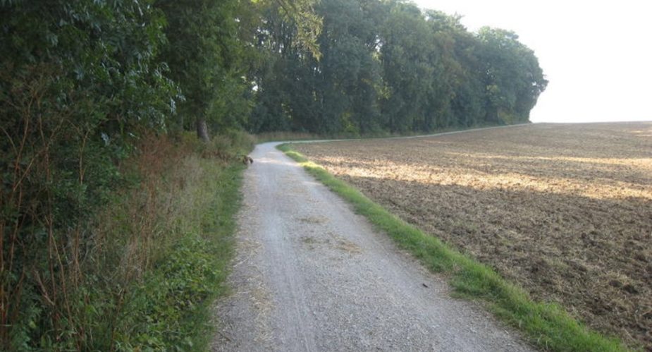 Eschbach und Erlenbachtal