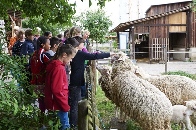 Lernbauernhof Rhein Main stefan cop