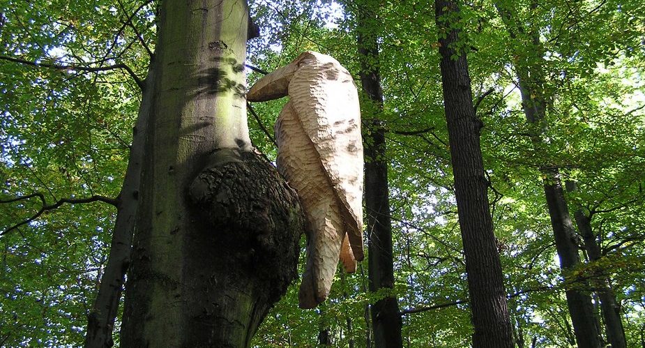 Monsterspecht GrünGürtel