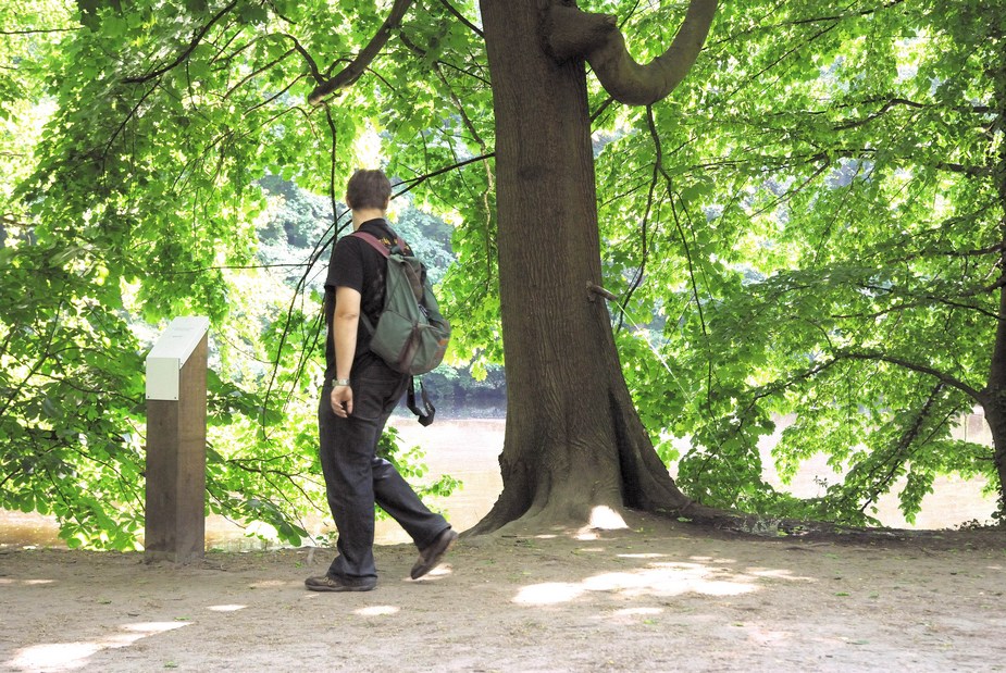 Pinkelbaum GrünGürtel