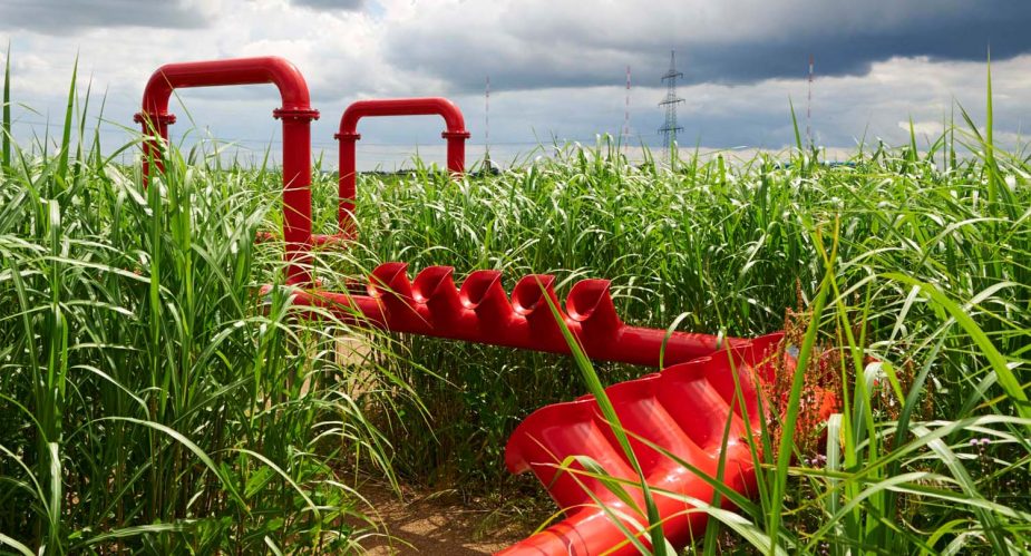 agrar-kultur-achse-oberursel2 agrar kultur achse oberursel