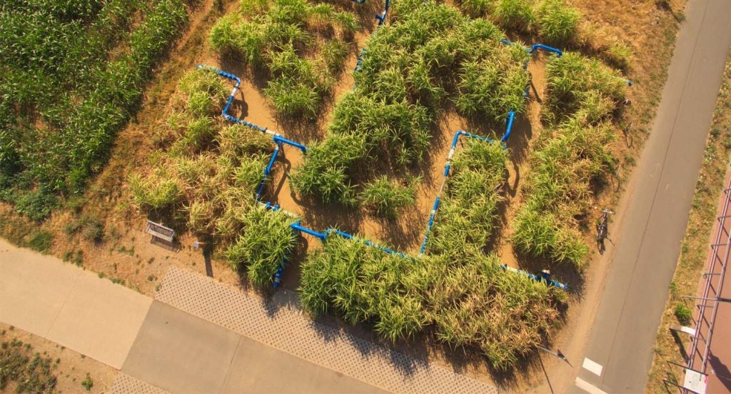 agrar kultur achse oberursel