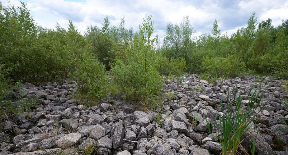 alter flugplatz schollenfeld stefan cop