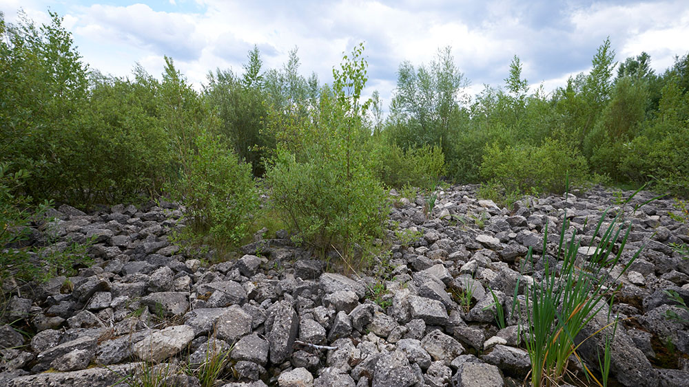 alter flugplatz schollenfeld stefan cop