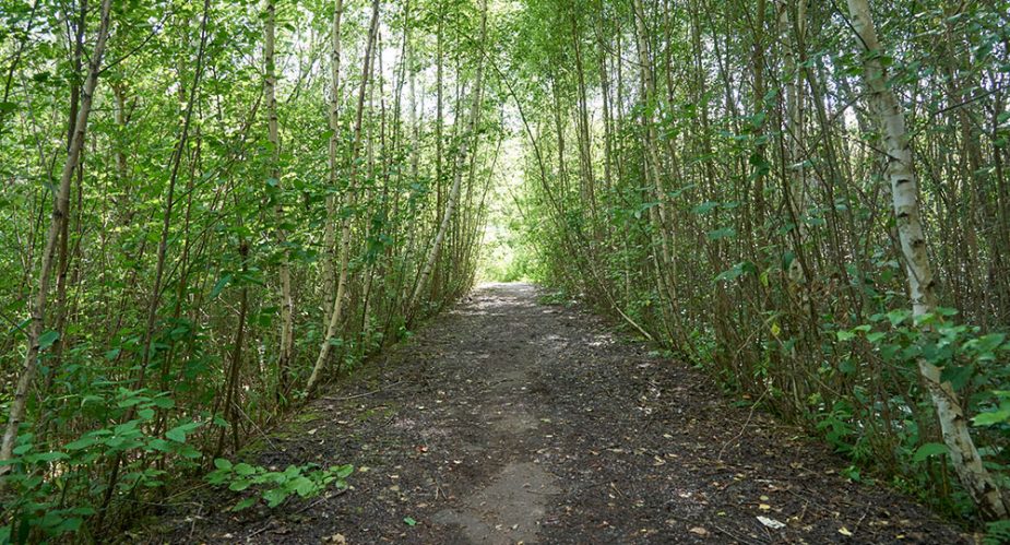 alter flugplatz wildnis landebahn stefan cop