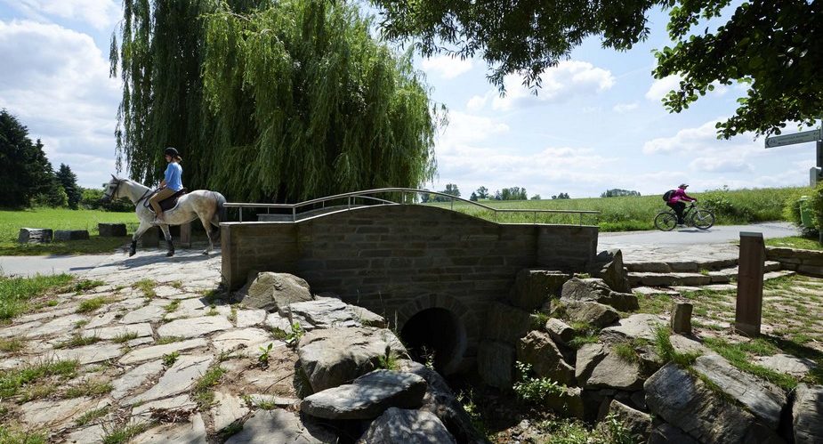 apfelweinbrücke steinbach
