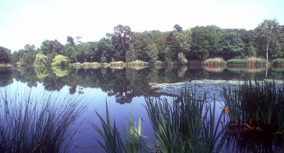 bauschheimer-rundweg2 bauschheimer rundweg