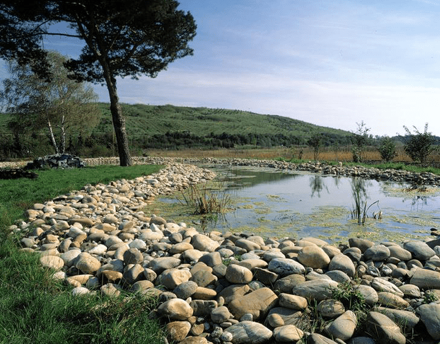 biotop am oberwaldberg