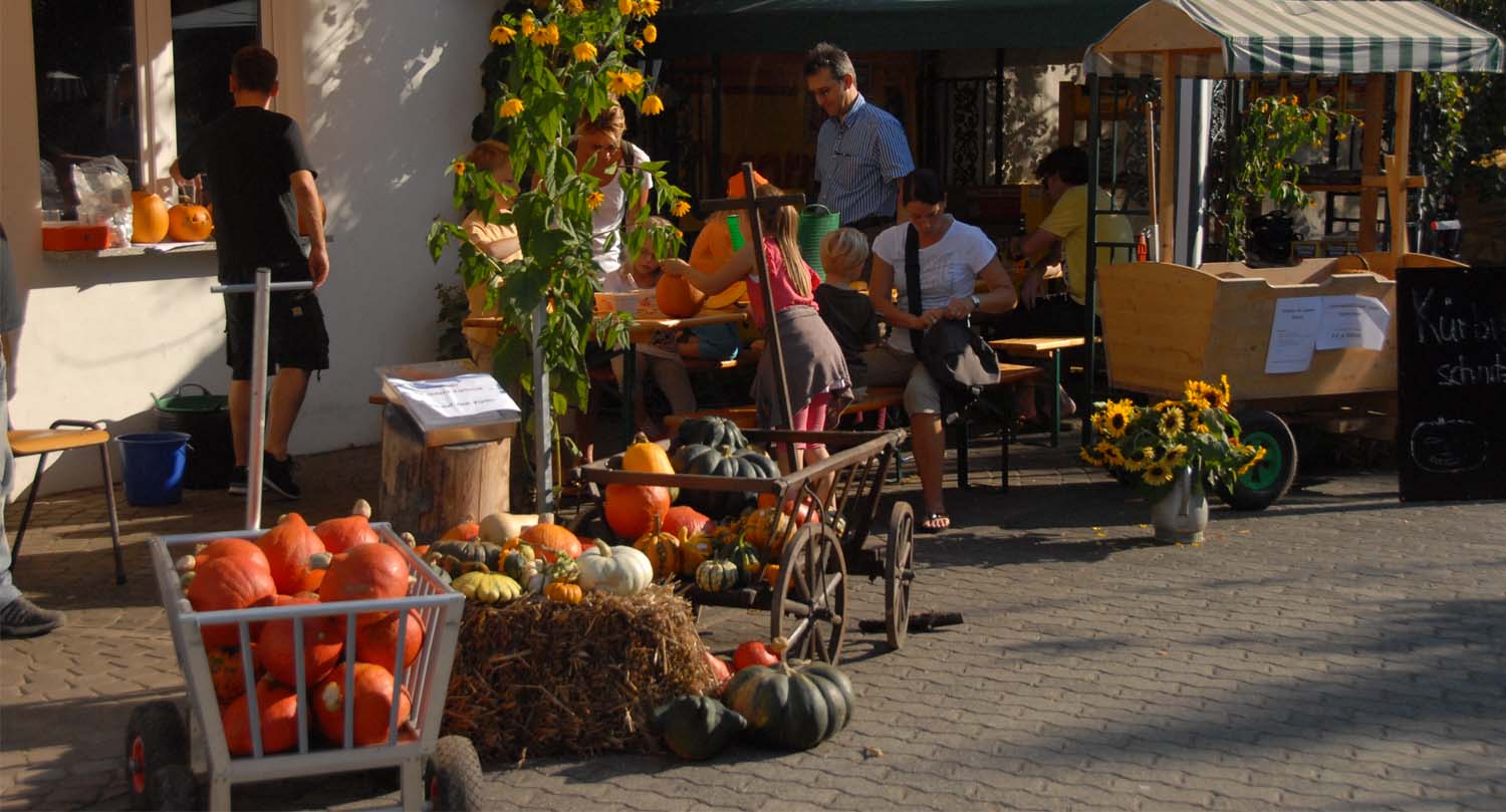 birkenhof hofstation