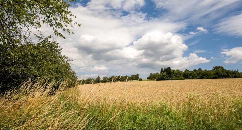 büdingen land tour  slider