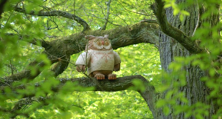 eule im norweger pulli grüngürtel