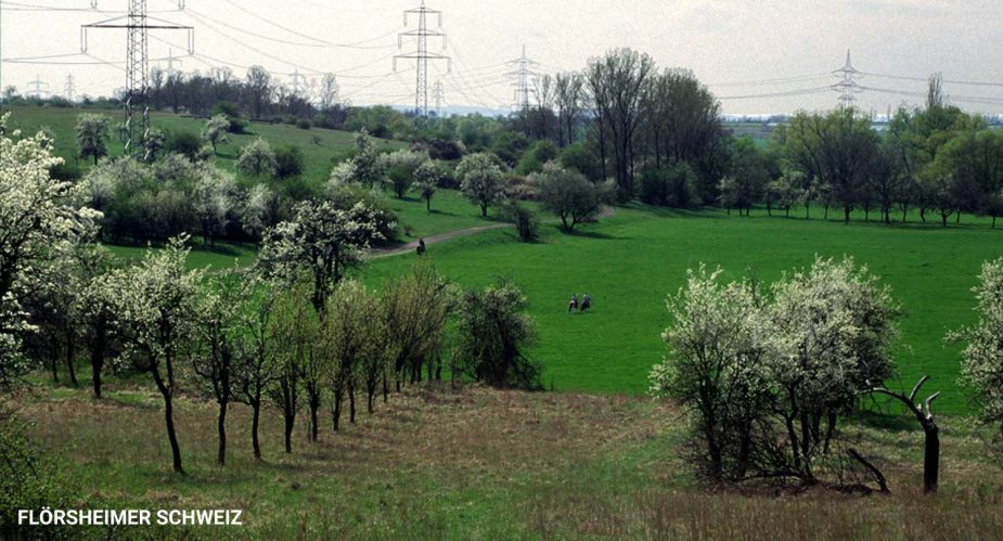 flörsheimer schweiz