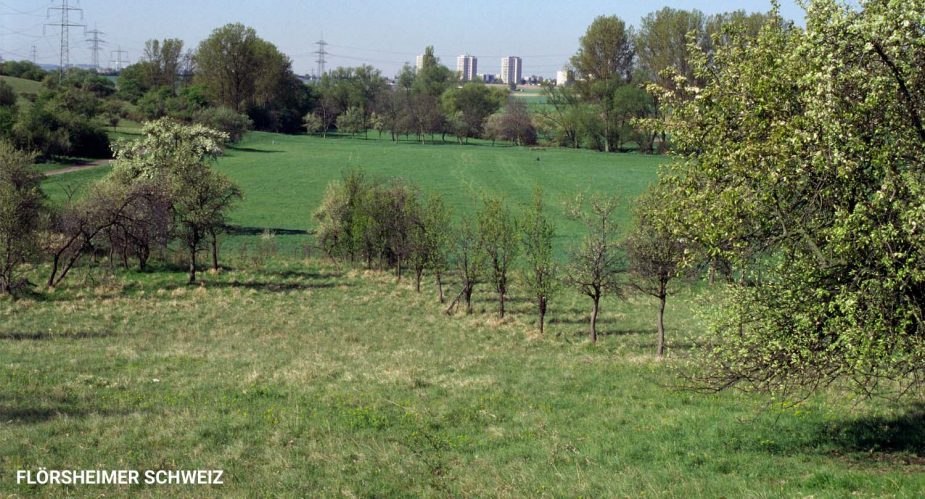flörsheimer schweiz