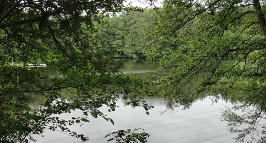 grüner-ring-hanau-002 grüner ring hanau