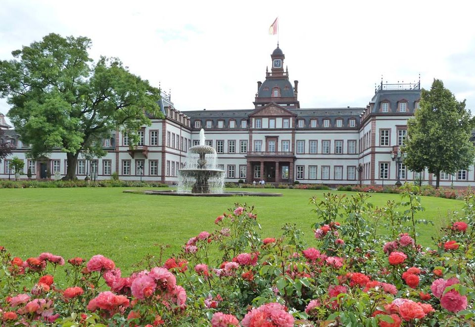 grüner ring hanau page