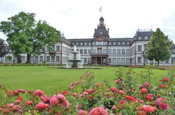 grüner ring hanau page