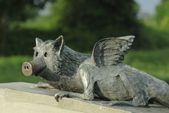 grüngürtel-tier (1) grüngürtel tier