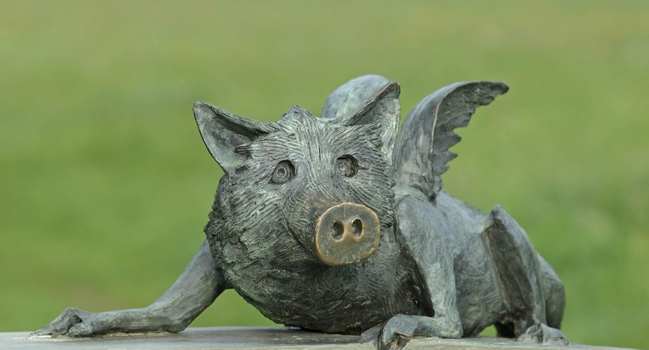 grüngürtel-tier (2) grüngürtel tier