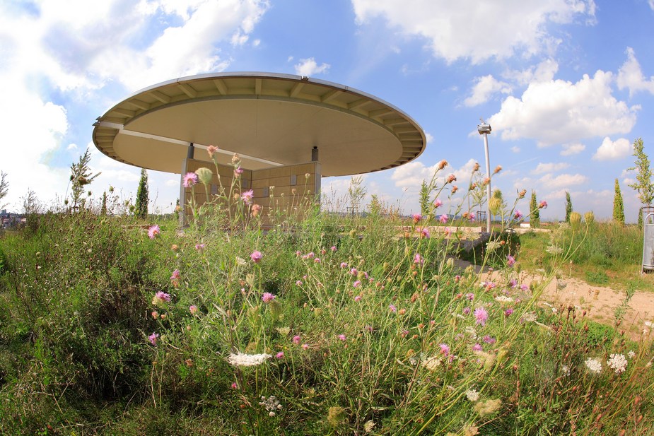 haus des dichters floersheim