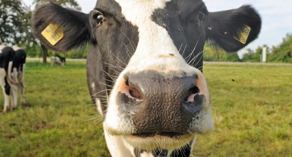 hof lenhardt hofstation