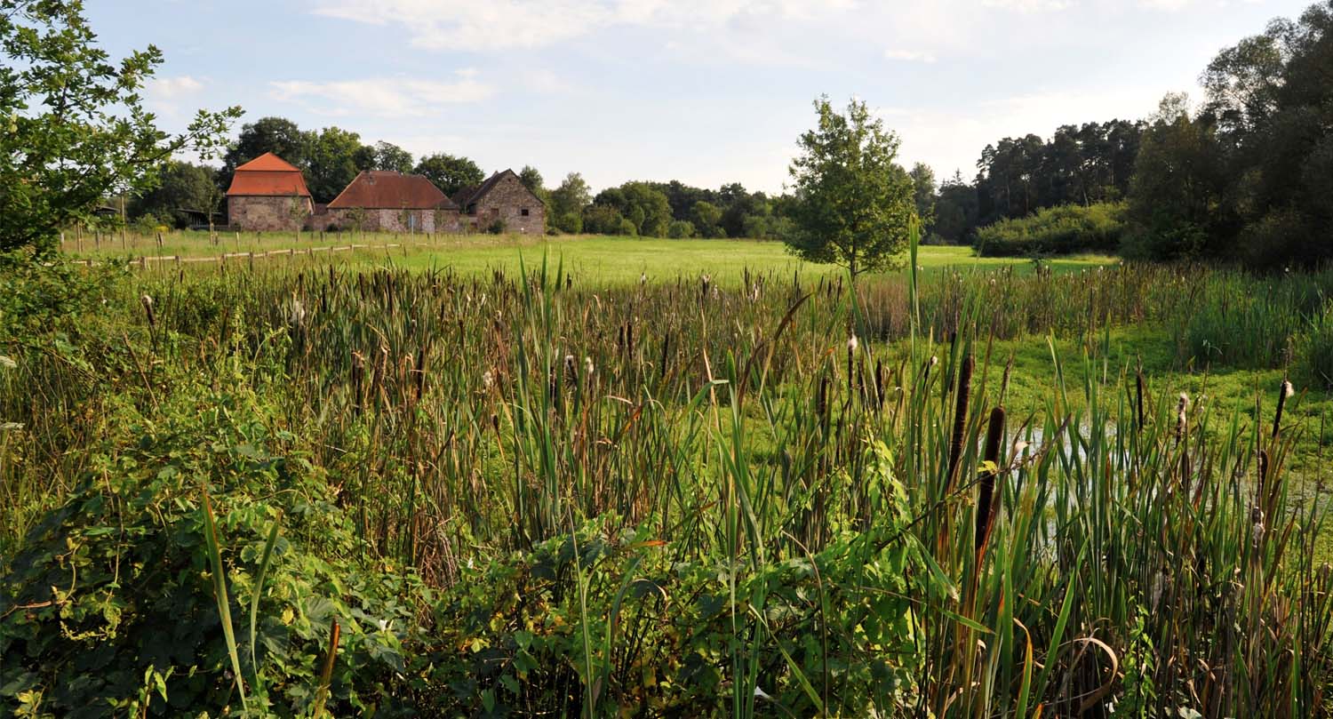 hofgut-patershausen-hofstation2 hofgut patershausen hofstation