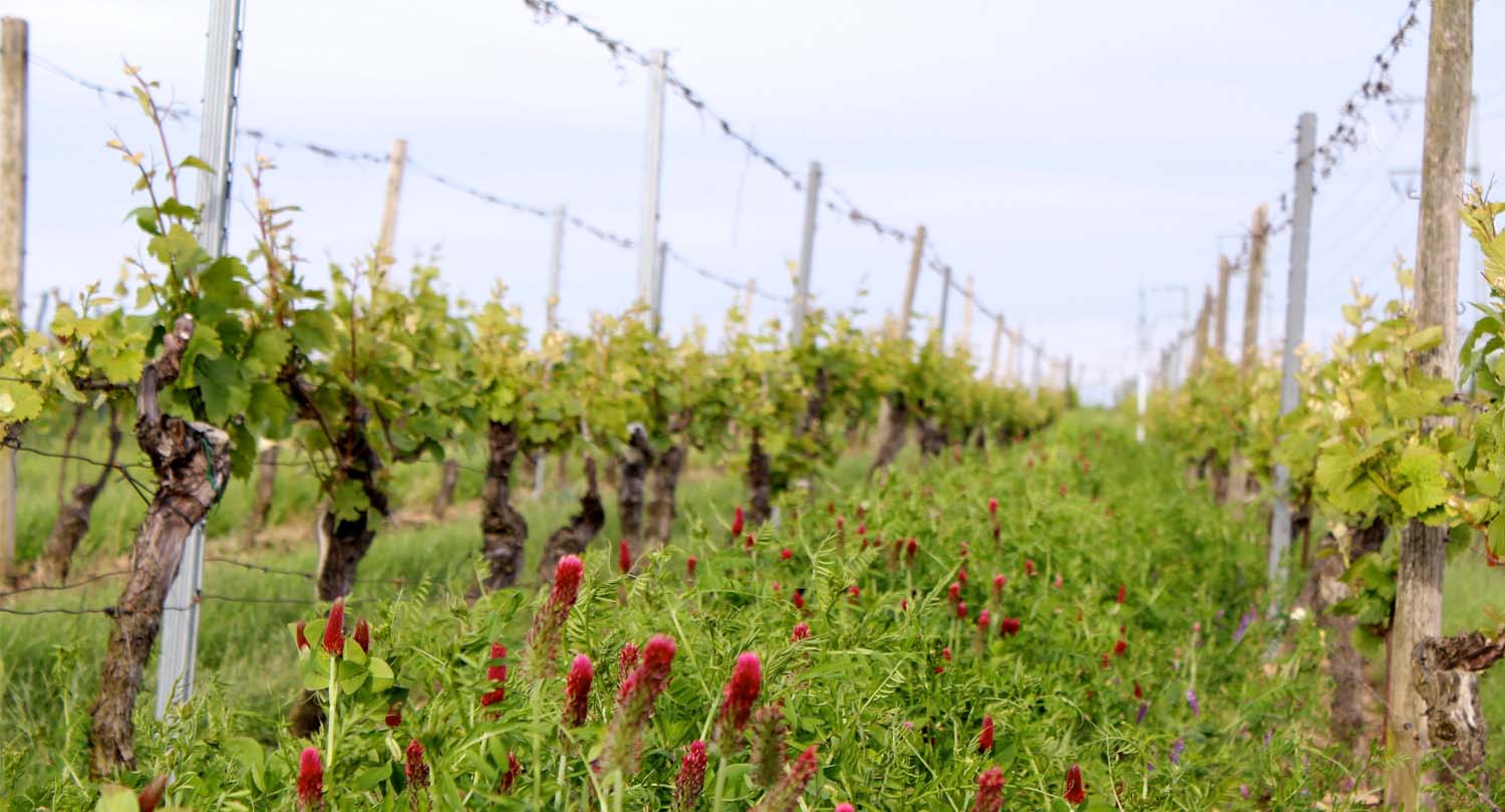 johanneshof hofstation