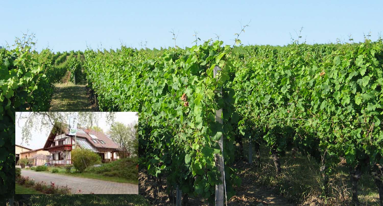 johanneshof hofstation