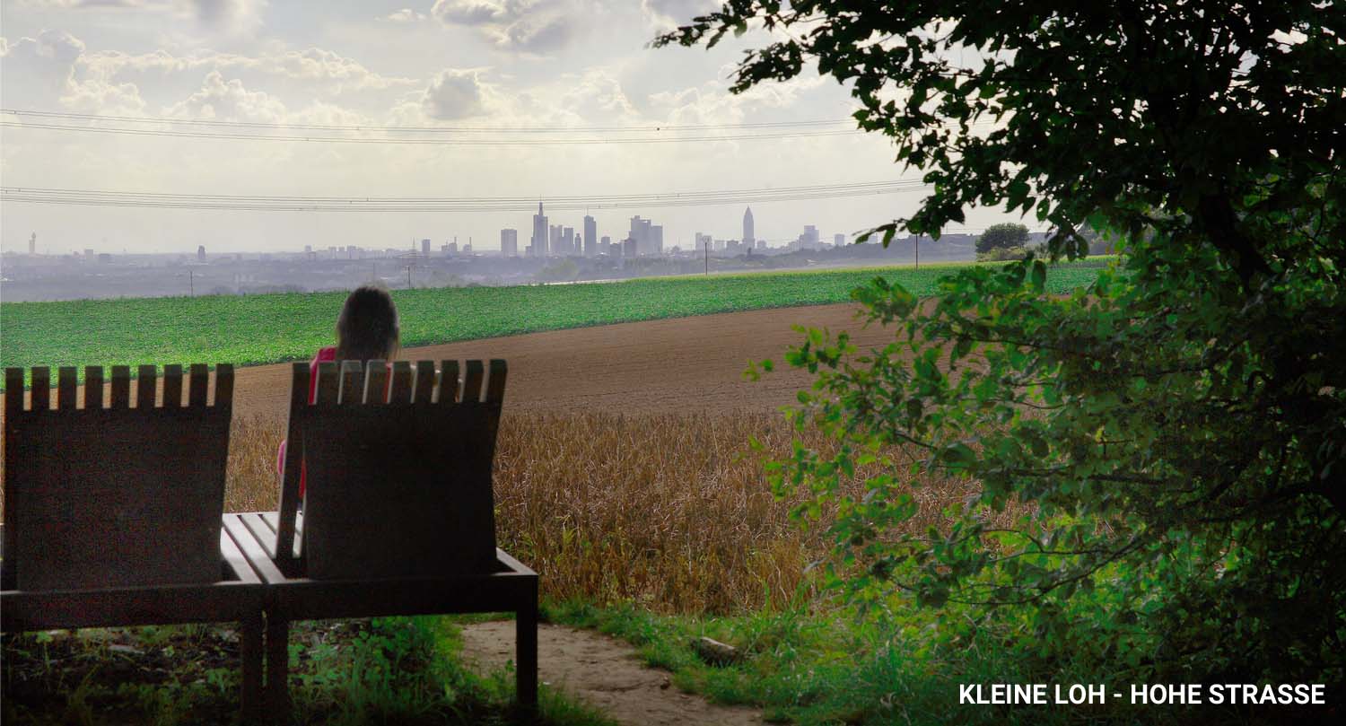 kleine-loh-hohe-strasse2