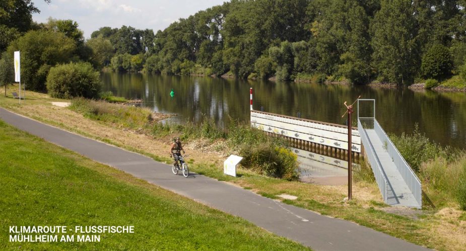 klimaroute flussfische mühlheim