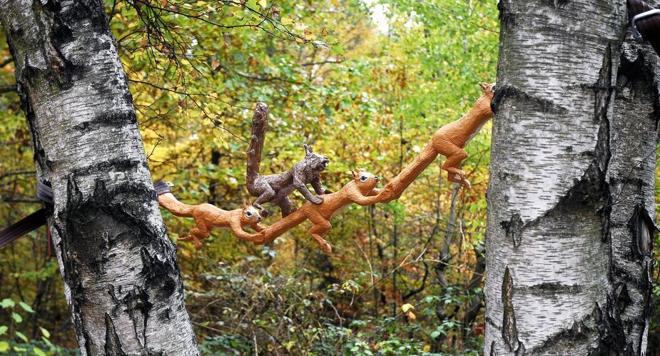 könig der eichhörnchen grüngürtel