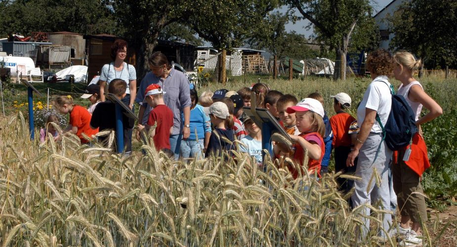 lernbauernhof hofstation
