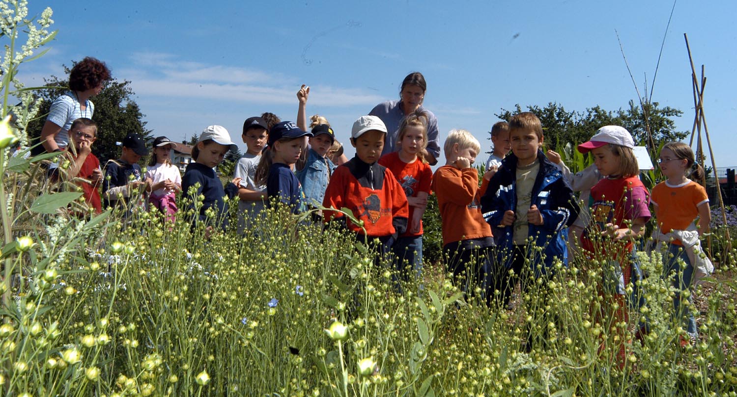 lernbauernhof hofstation
