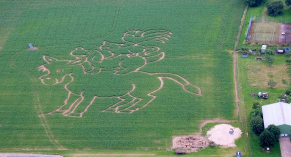 maislabyrinth hofstation