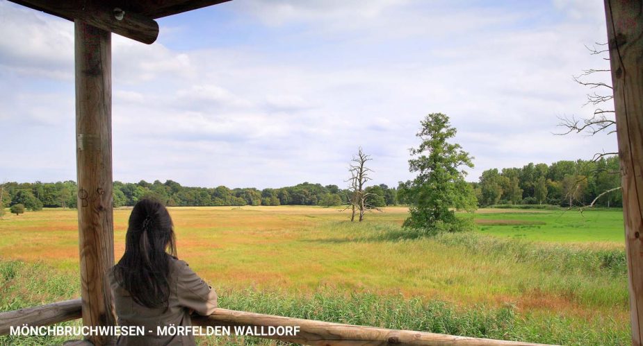 mönchbruchwiesen mönchbruchwiesen