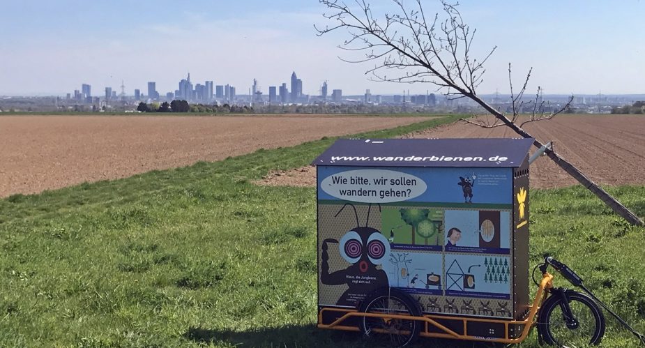 regionalpark-wanderbienen-schiefer-wald (1)