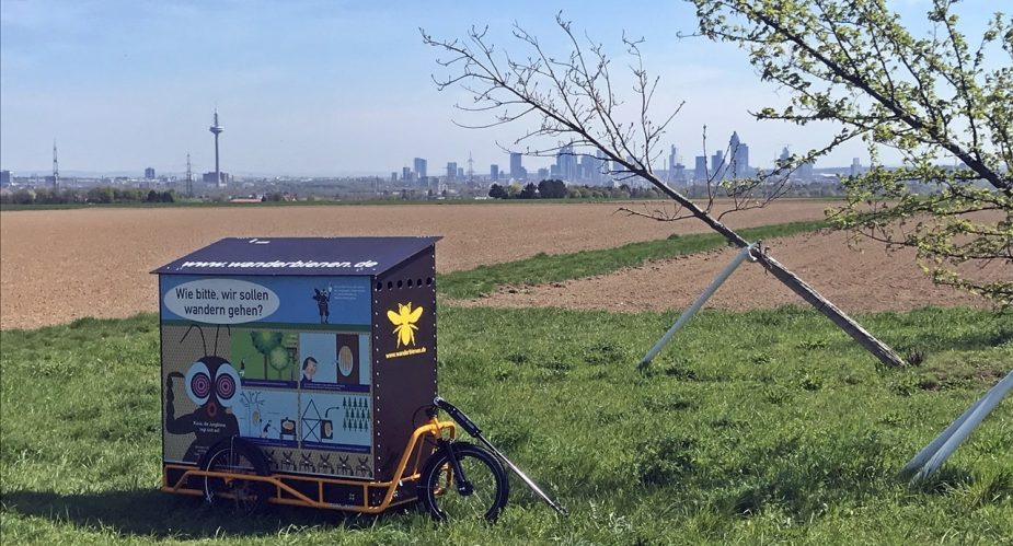 regionalpark-wanderbienen-schiefer-wald (2)