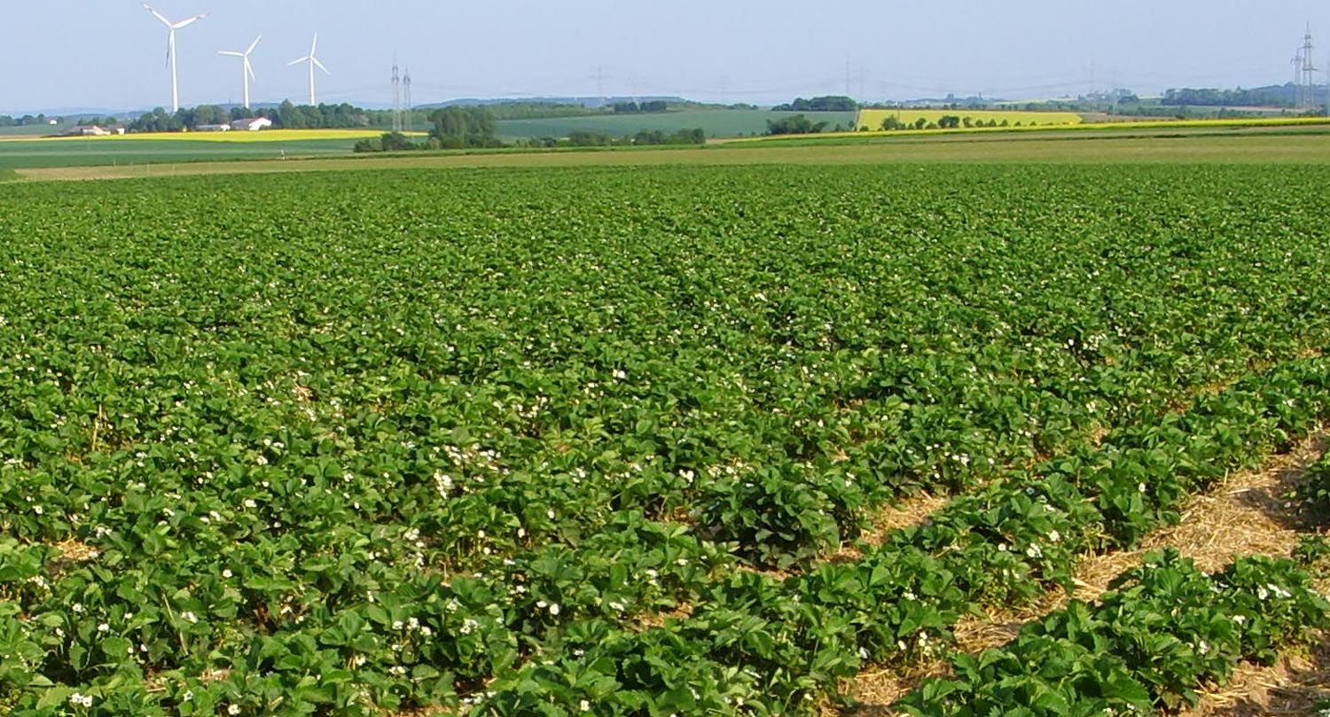 reinhardtshof-hofstation3 reinhardtshof hofstation