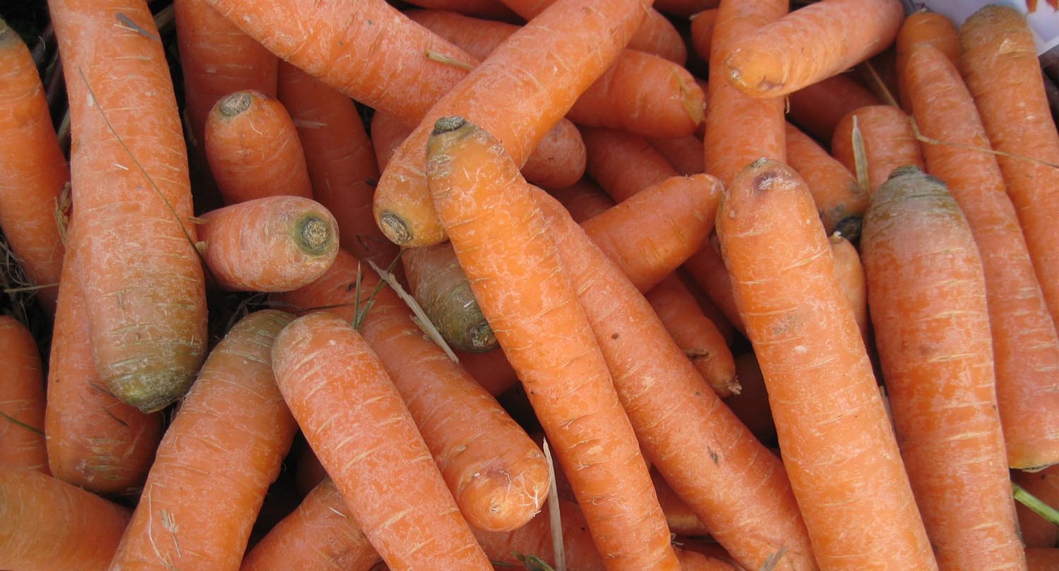 reinhardtshof-hofstation4 reinhardtshof hofstation