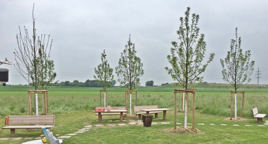 ringanbindung friedrichsdorf