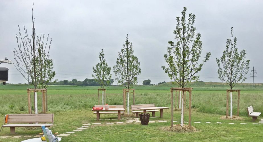 ringanbindung friedrichsdorf