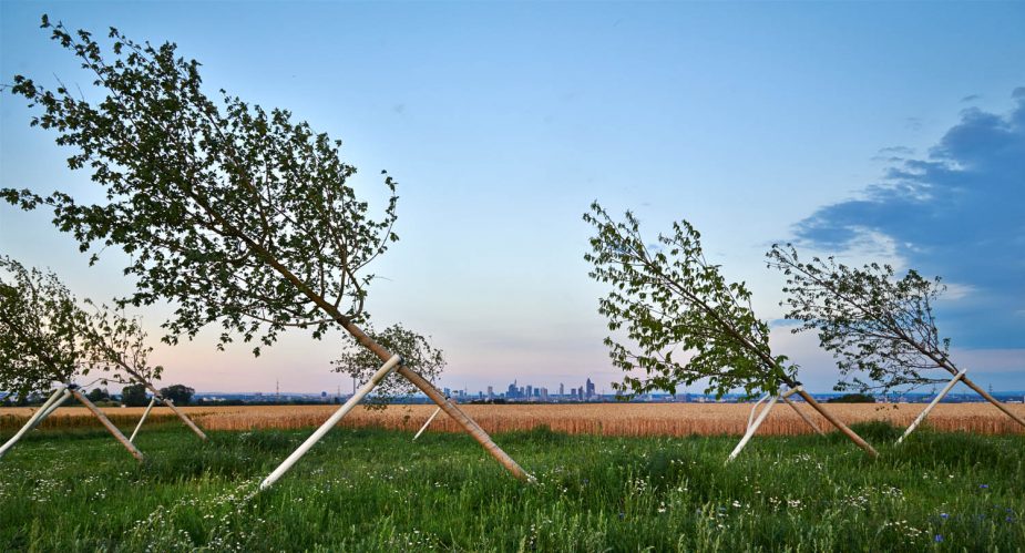 schiefer wald slider