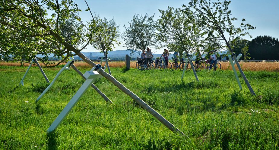 schiefer wald slider