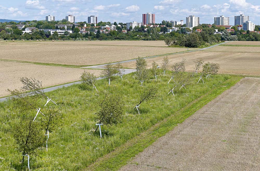 schieferwald-page schieferwald page