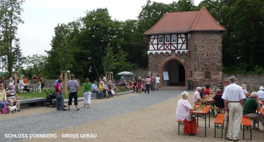 Schloss Dornberg in Groß Gerau