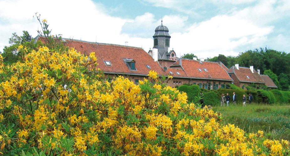schloss wolfsgarten