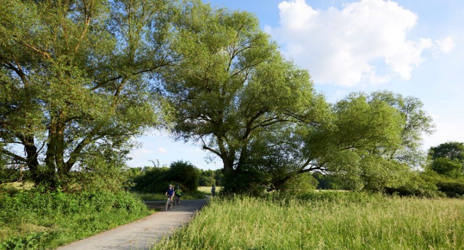schwanheimer wiese radfahrer stefan cop